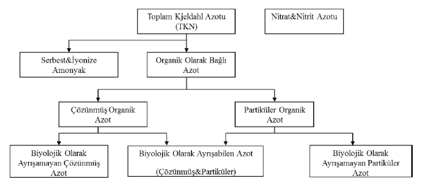 Biyolojik Azot Giderimi │ İLERİ BİYOLOJİK ATIKSU ARITMA