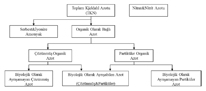 nitrifikasyon