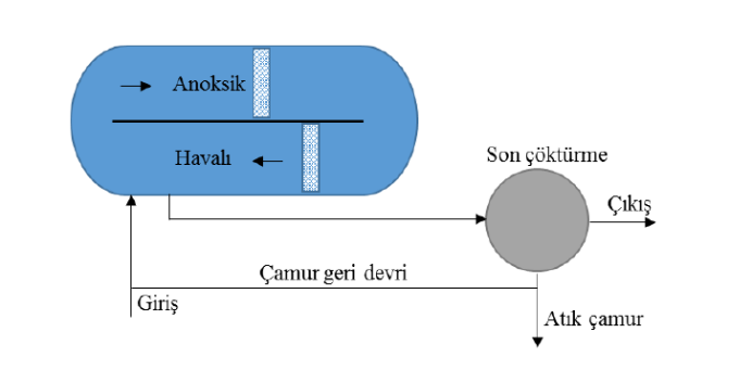 nitrifikasyon