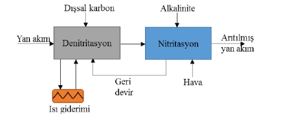 nitrifikasyon