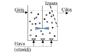 nitrifikasyon