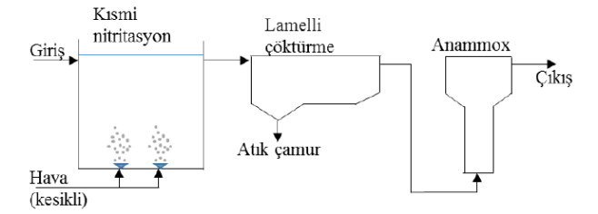 nitrifikasyon