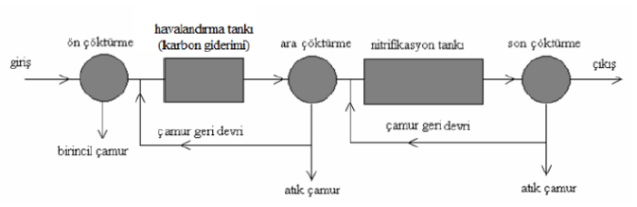 nitrifikasyon