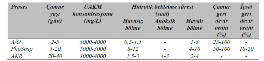 nitrifikasyon