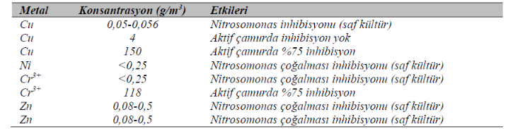 nitrifikasyon